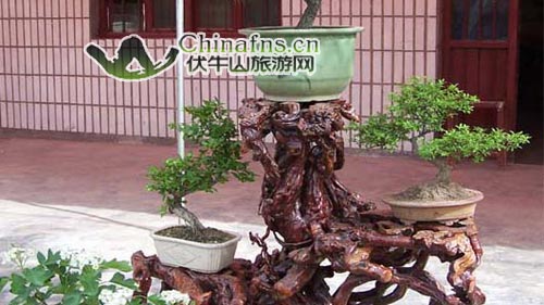 辰