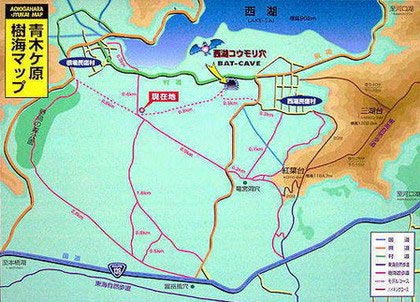 20һʬ壺ֲձɱɭ(ͼ)03