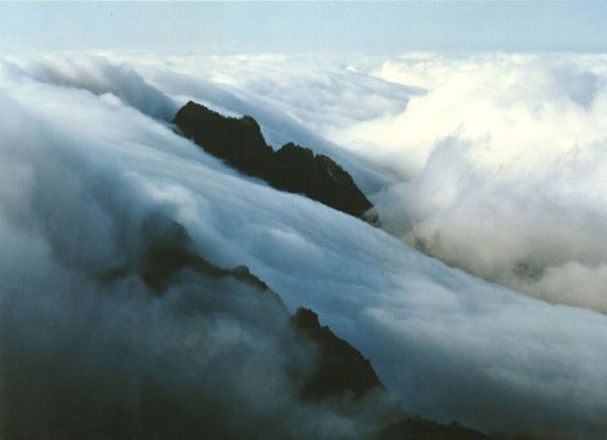 黄山 云海