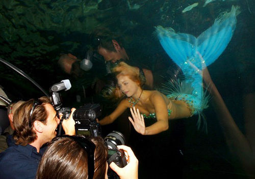 澳大利亚 美人鱼 悉尼 水族馆