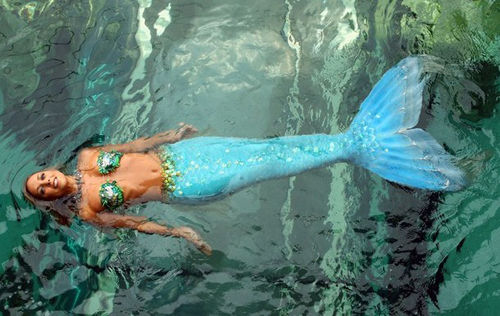 澳大利亚 美人鱼 悉尼 水族馆