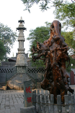 鶴