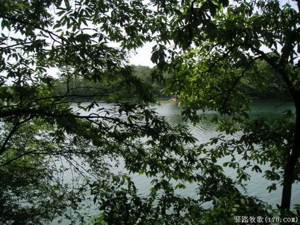 请到小城信阳来(上)