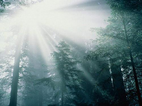 կԭʼɭеľ,կԭʼɭеľ,Ĵ,կ,,ԭʼɭ