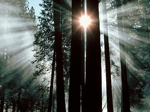 կԭʼɭеľ,կԭʼɭеľ,Ĵ,կ,,ԭʼɭ