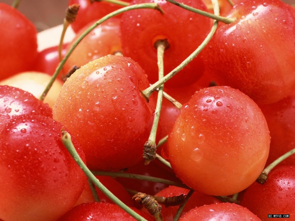 ׻ ӣ