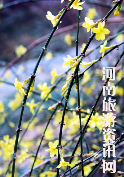 㡡