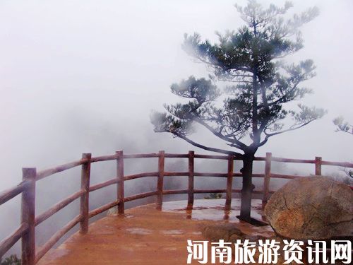 ľ 
