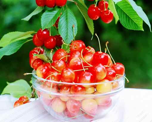 Լӣҹ֣ӣҽ