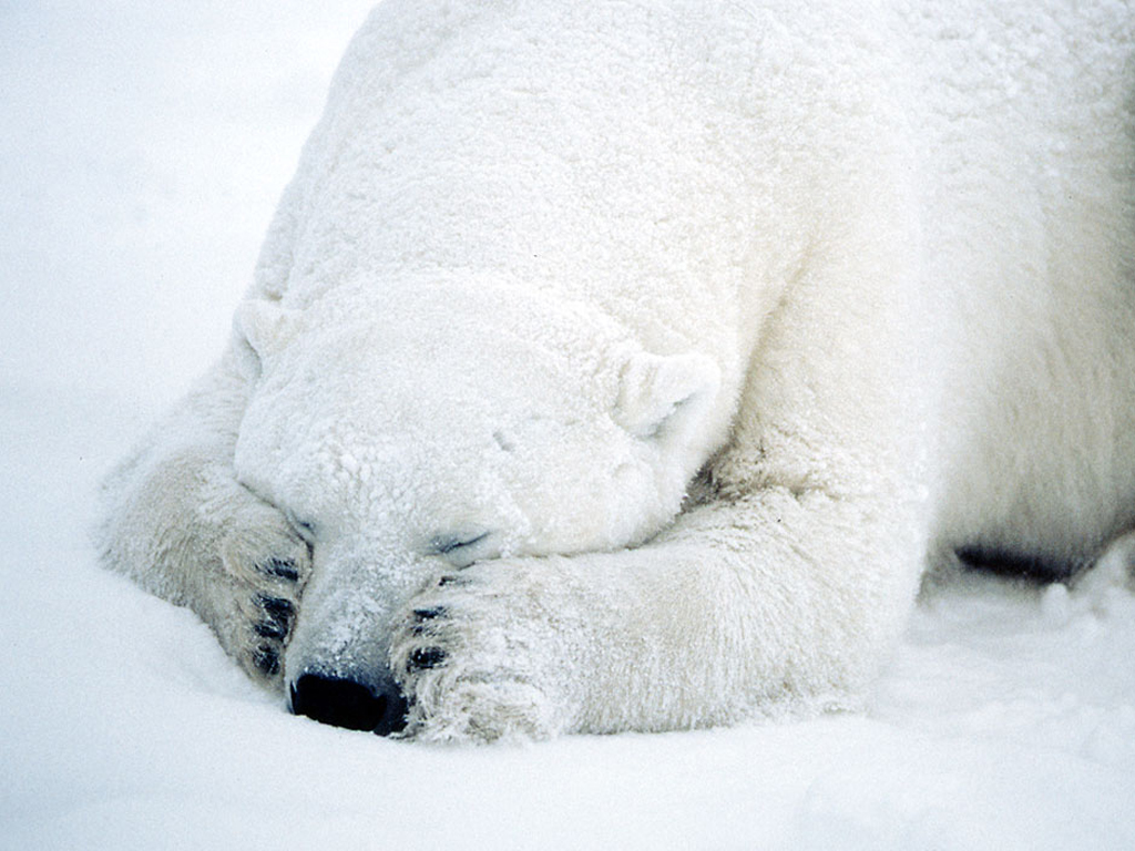 辽宁旅游图片 辽宁风景图片 - 河南旅游资讯网