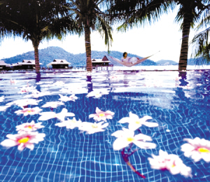 ޵ С  Pulau Pangkor