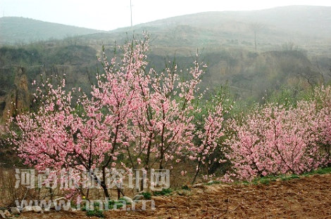 三皇山攻略峪-旅游-门票游侠-旅游桃花-自助游三国志价格攻略图片