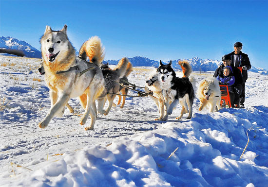 冬天去西部玩雪 感受别样特色冰雪游（西部冬季自驾）