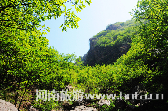 环翠峪景区5月20日—6月20日举行啤酒月活动（环翠峪门票）