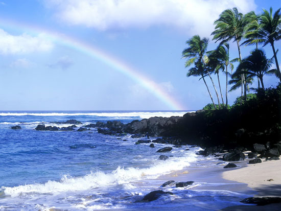 夏威夷小姐助阵 夏威夷借直飞开拓中国市场_