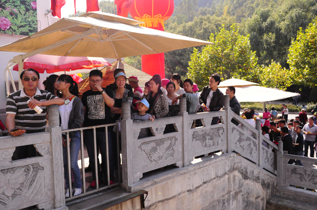 ���ڶ����Լ�ӭ�����ź�  ����Ȼӭ����