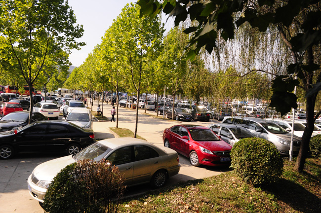 ���ڶ����Լ�ӭ�����ź�  ����Ȼӭ����