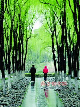 春雨绵绵好时节 省外春雨欣赏好去吃推荐（春雨绵绵下句是什么）