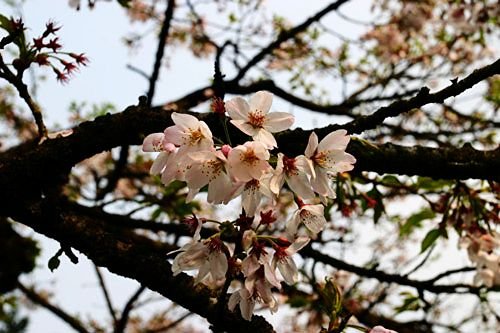 2012情人节最值得去的旅游胜地 享受幸福二人世界（情人节适合玩的地方）