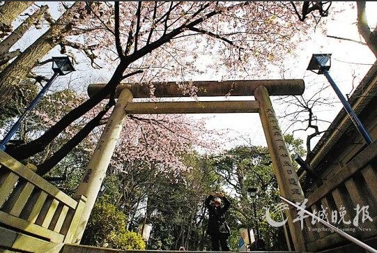 感叹世界异国春色 清明7天长假拼假游玩攻略（感叹世界的句子简短）
