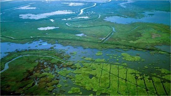 都市解压好去处——鄱阳湖国家湿地公园游玩攻略(鄱阳湖国家湿地公园门票多少钱) 都市解压好去处——鄱阳湖国家湿地公园游玩攻略(鄱阳湖国家湿地公园门票多少钱)