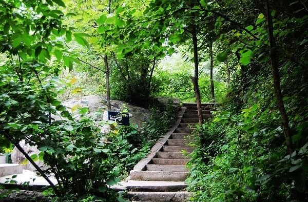 河南避暑旅游人间天堂任君选（河南避暑度假的地方）