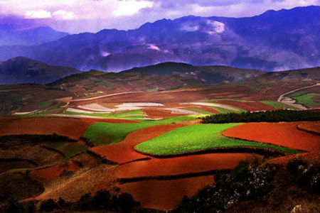 云南旅游亮点 找寻独有的云南之最（云南旅游最具特色的地方）