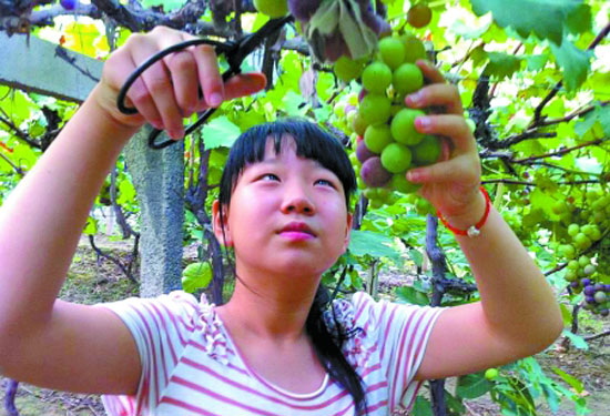 郑州周边休闲游（郑州周边适合游玩的地方）