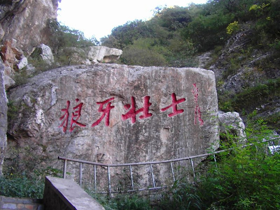 㼣 ϵ