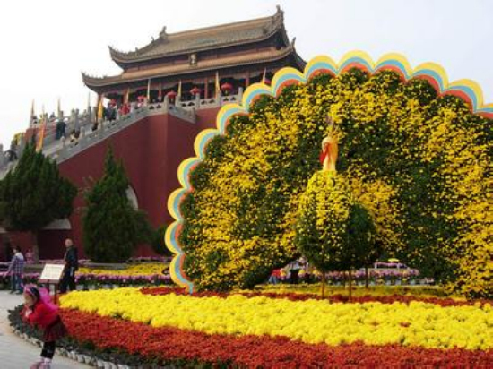 赏菊攻略:金秋花意浓 赏菊在汴梁