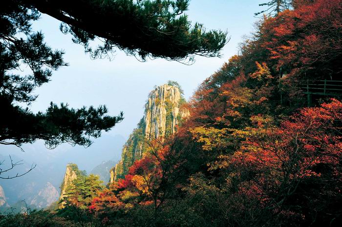 “红”色当家别具“枫”情 河南观红叶景区推荐
