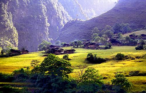  羲֮