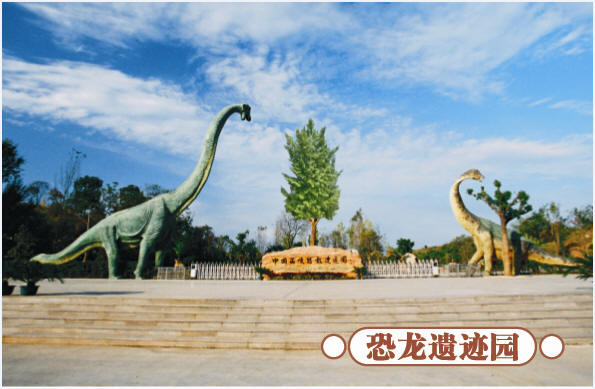 圣诞去哪儿?省内欢乐地推荐