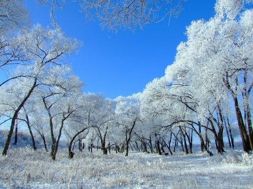 玩转东北雪乡!冬季北国冰雪游攻略