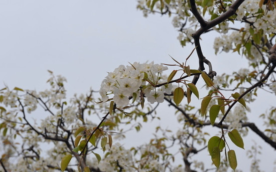 滨 ֮绶ӭ