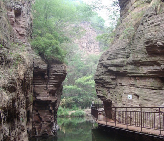 人在画中游