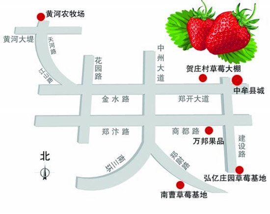 草莓旅游 “采草莓地图”  郑州