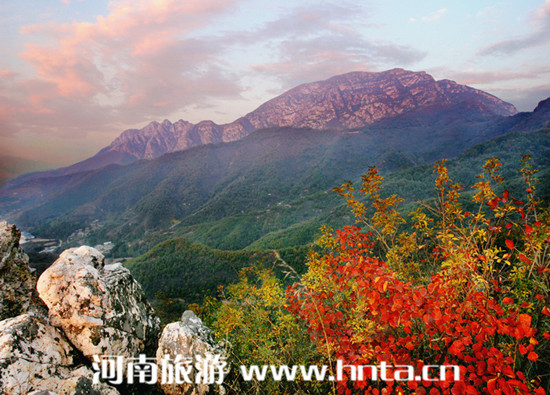 大鸿寨登山比赛将于本月20日举行（大鸿寨风景区门票多少钱）