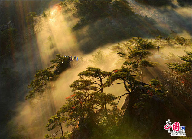 春季沉醉黄山的四大理由（春季沉醉黄山的四大理由是什么）