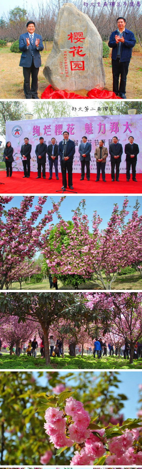2013֣ݴѧӣĻڽվٰ