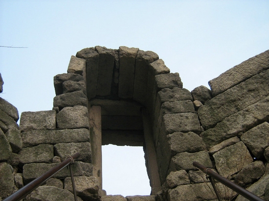 żŴ