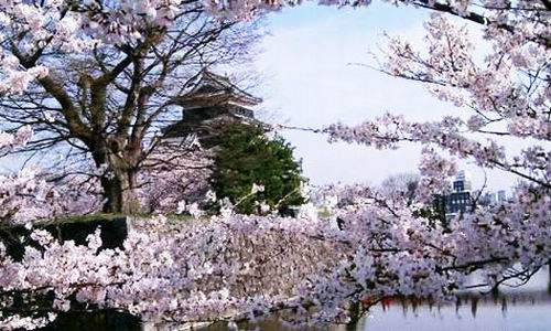 我和鲜花的约会 三月旅游赏花大攻略