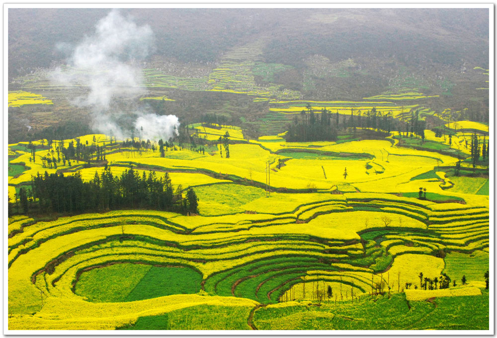我和鲜花的约会 三月旅游赏花大攻略
