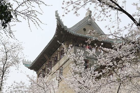 享受这个春天 盘点自驾游必去的城市