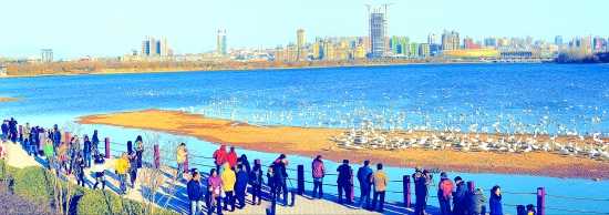 ƺδϵĻƽ·——2015Ͽμʢ 