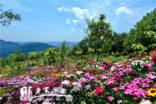 诗意黛眉——黛眉山和一个摄影师的春夏秋冬(黛眉山景区图片) 诗意黛眉——黛眉山和一个摄影师的春夏秋冬(黛眉山景区图片)