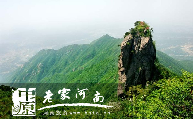 河南十大景美人少的避暑地，和小伙伴们周末约起来吧~（河南境内避暑最好的地方）