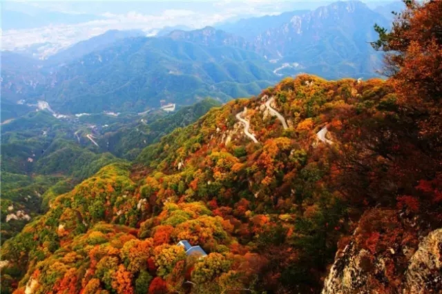 寒露白霜秋意浓 红叶漫山笑西风(寒露深秋夜长天谁写的诗歌) 寒露白霜秋意浓 红叶漫山笑西风(寒露深秋夜长天谁写的诗歌)