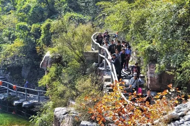 这个地方撑起了河南秋天的颜值（河南秋天最美的地方）
