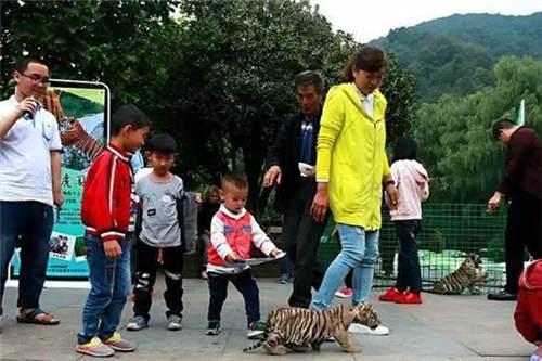 쳤ٵ죺Ͼࡢ